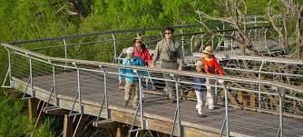 A family walking along a boardwalk trail at a World Birding Center site